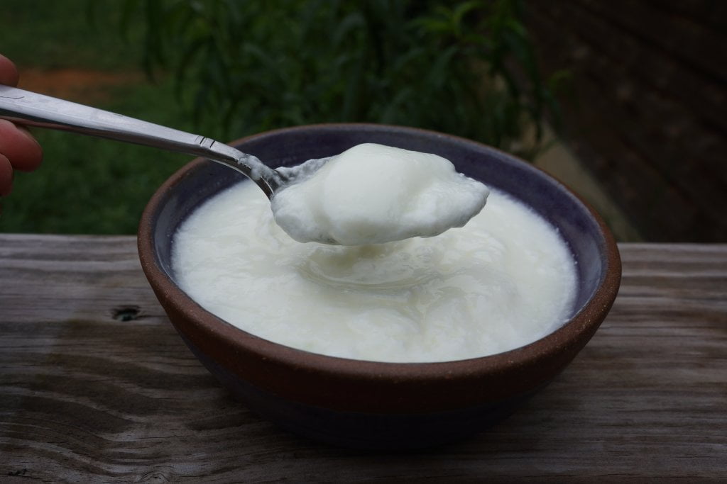 Yogurt